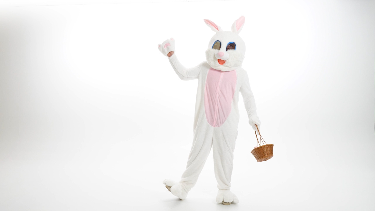 FUN7071AD Adult Mascot Easter Bunny